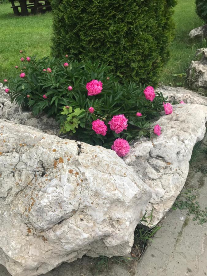 Vila Vraja Muntelui Moieciu de Jos Buitenkant foto