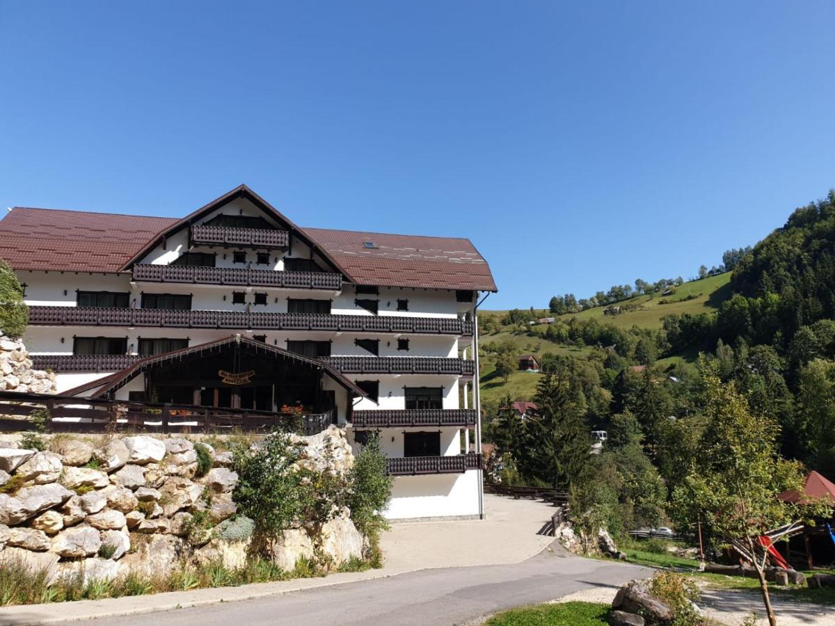 Vila Vraja Muntelui Moieciu de Jos Buitenkant foto