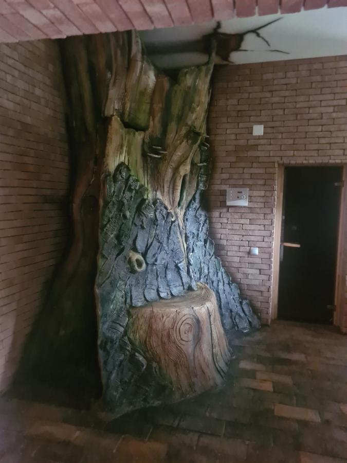 Vila Vraja Muntelui Moieciu de Jos Buitenkant foto